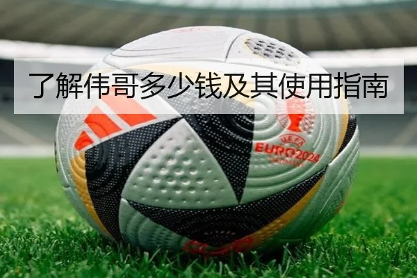 了解伟哥多少钱及其使用指南
