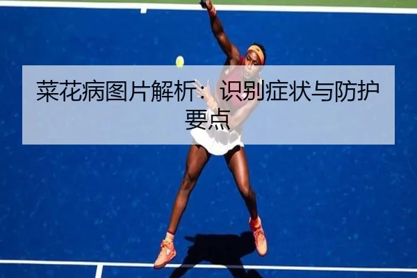 菜花病图片解析：识别症状与防护要点